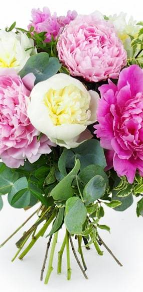 Image zoom milieu du bouquet de pivoines "Velours de Pivoines" | L'Agitateur Floral