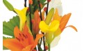 zoom sur des callas jaunes et des lys oranges