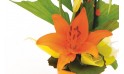 zoom sur un lys orange de la composition Abricot