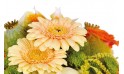 zoom sur des germinis de la composition de fleurs Mignon