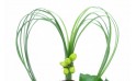 L'Agitateur Floral | zoom sur le cerclage de feuillage en forme de coeur