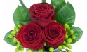 L'Agitateur Floral | image des trois roses rouges de la composition florale