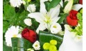 zoom sur des lys, roses rouges et bergeras blancs