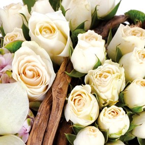 mosaïque : vue sur les roses blanches du coeur
