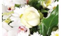 zoom sur une magnifique rose blanche