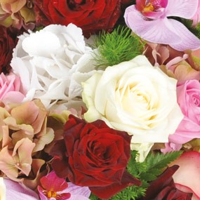 mosaïque : rose rouge, blanche et rose