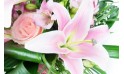 L'Agitateur Floral | vue sur un splendide lys rose