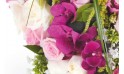 vue sur les orchidées du coeur de deuil Songe