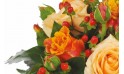 zoom sur une rose orange