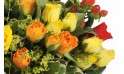 zoom sur des rose oranges