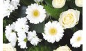 zoom sur les fleurs de la composition de fleurs