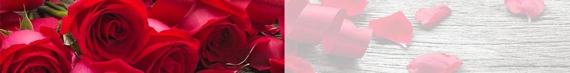 Roses rouges & blanches | livraison de fleurs pour la Saint Valentin