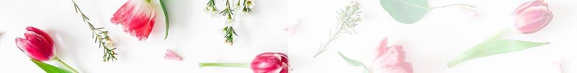 Plantes pour la Fête des Grands-mères