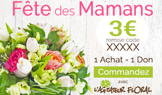 banniere_af_fete-des-meres.jpeg